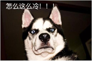 �B�Ƹ��к�������o�C���޹�˾